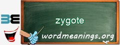 WordMeaning blackboard for zygote